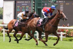 Fireworks winning his last start easily with Marc Lerner astride on July 15. With the Frenchman suspended, top Brazilian jockey Bruno Queiroz has been tasked with the job on Sunday. ST PHOTO: SHAHRIYA YAHAYA
