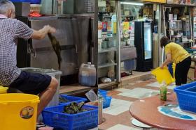 Diner repulsed by hawker who leaves vegetables on floor while another washes area