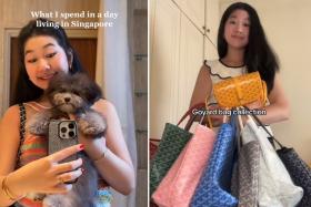 Miss Liem documents grooming sessions for her dogs and her luxury bag collection among other opulent pursuits in her videos.