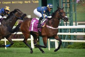 Lim's Kosciuszko (Wong Chin Chuen) stamping his class with back-to-back wins in the Group 1 Raffles Cup (1,600m) at Kranji on Saturday. He won his first Raffles Cup six months earlier, also with Wong up. ST PHOTO: SYAMIL SAPARI

