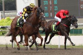 Mimosas (Manoel Nunes) scoring his only win in a Class 4 race (1,000m) on March 12. 
