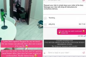 Woman appeals to Foodpanda rider to help catch cockroach in flat