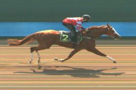 Super Baby (Vlad Duric) strolling away to a comfortable win at the barrier trials on Thursday. Sun Step (Iskandar Rosman) finishes second, more than five lengths away.
