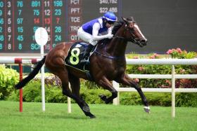 Makin (Manoel Nunes) opening his Singapore account in style when stepped up to the 1,400m of a Class 4 race on Oct 21.