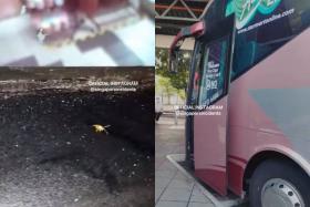 The woman claims the coach driver refused to allow her to switch seats despite the presence of the bugs.