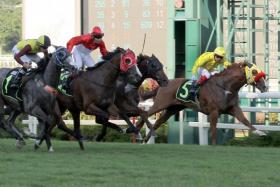 Grand Sage (in red blinkers with apprentice jockey Ibrahim Mamat astride) getting up to snare the first leg of his hat-trick on Aug 6 and pay a thumping $609. All his three wins were over the 1,400m trip.