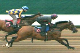 Kharisma (Matthew Kellady) finishing ahead of stablemate Silent Is Gold (Jamil Sarwi) in a barrier trial on Jan 9.


