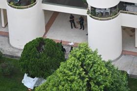 Man falling from 18th storey lands in tree, dies