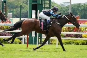 Nature Chief (Koh Teck Huat) coasting home an easy winner in the Class 5 race over 1,400m on Feb 17. Looking much-improved in his gallop on Feb 27, he should defy a promotion to Class 4 over the same trip on March 2.