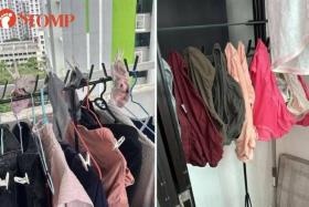 Guess why this tenant and her landlady clashed over laundry