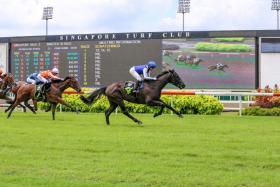 The sparingly raced Bakeel (Manoel Nunes) scoring first-up on July 2, 2023, beating a Restricted Maiden field over 1,200m. He has improved sharply since his last-start narrow second and looks the one to beat on March 17.