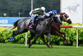 Elite Jubilation (Bruno Queiroz), on the inside, and the grey Winning Stride (Ryan Curatolo) fighting tooth and nail to the line in the Class 4 race (1,800m) at Kranji on March 23, with the nod going to Elite Jubilation by a nose.