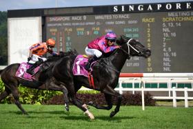 Ace Of Diamonds (Bruno Queiroz) kicking clear to land the Group 3 Singapore Three-Year-Old Sprint (1,200m) at Kranji on April 6. Outsider Artillery (Vitor Espindola) threatens late, on his inside, but finishes second.