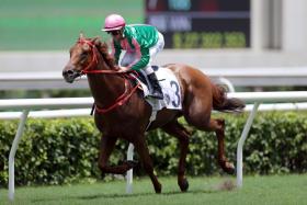 The John Size-trained Bundle Of Charm (Zac Purton) posting one of his six wins at Sha Tin on June 25, 2022. He bounced back to form in the Class 2 (1,200m) at Sha Tin on April 3. In-form jockey Brenton Avdulla jumps on board on April 14.
