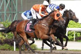 The David Kok-trained Pacific Spirit (Ruan Maia, No. 10) pulling out all the stops to nab A Better Tomorrow (Jaden Lloyd) by a nose in the Class 5 Division 1 race (1,700m) at Kranji on April 13. Maia won earlier aboard Kinabalu Light, another horse prepared by Kok, but also squandered a few good bullets.
