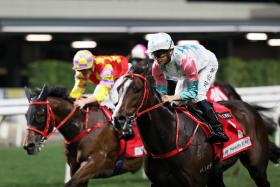 The Danny Shum-trained Chill Chibi (Jerry Chau, white cap) recording his last win in a Class 3 race over 1,800m at Happy Valley on Nov 23. After a creditable fourth in the BMW Hong Kong Derby (2,000m) on March 24, he contests the Class 2 race (1,800m) at Sha Tin on April 20.
