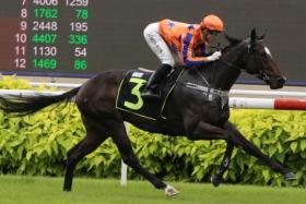 Artillery striding away to an easy maiden win at Kranji on July 2. He was ridden by Simon Kok, who, incidentally, makes a riding comeback on April 27.

