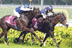 Lim&#039;s Bighorn (Marc Lerner), on the inside, staving off a late challenge from Bakeel (Manoel Nunes) to prevail by a short head in the Group 2 Singapore Three-Year-Old Classic (1,400m) at Kranji on April 27.