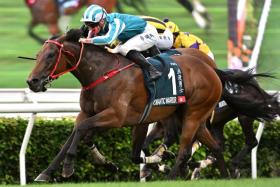 James McDonald guiding the Danny Shum-trained Romantic Warrior to his third FWD QEII Cup over 2,000m at Sha Tin racecourse on April 28.
