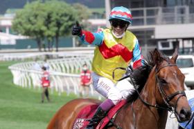 French jockey Alexis Badel looks to have strong claims aboard Sea Sapphire (Race 5) and Kyrus Unicorn (Race 6) at Happy Valley on May 8.