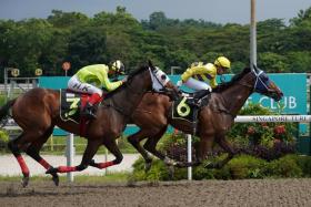 Smart Star (Amirul Ismadi) holding off Free Fallin' (A'Isisuhairi Kasim) in a Class 4 1,600m race on Dec 2, 2023. He caught the eye with a smart 42.1sec gallop over 600m on May 7 and looks ship-shape for his assignment on May 12.