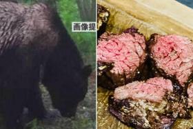 The bear meat has since been sold to restaurants in cities including Tokyo, Kyoto, Osaka and Kushiro where it was caught.