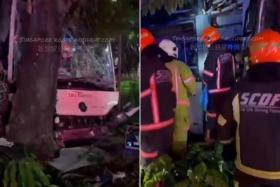 Photos and a video circulating online show an SBS Transit bus with a smashed windscreen after it crashed into a tree.