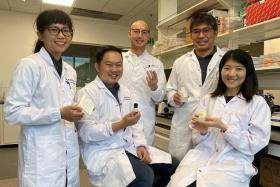 A team from NTU discovered two compounds in blood that could identify patients at risk of severe dengue.