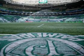 Palmeiras fan Gabriela Anelli was hit in the neck by a bottle, which severed her jugular vein, outside the Allianz Parque Stadium in Sao Paulo.