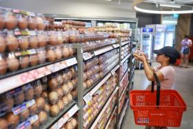 A customer checking out the new source of eggs imported from Brunei at Parkway Parade’s FairPrice Xtra on Feb 21, 2023.