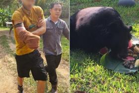 The wildlife volunteer had stretched his arm into the bear’s cage to feed it when it suddenly chomped into his arm.