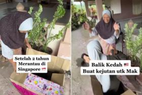 Malaysian Siti Nasuha Abdullah&#039;s surprise reunion for Hari Raya with her mother is making waves on TikTok.