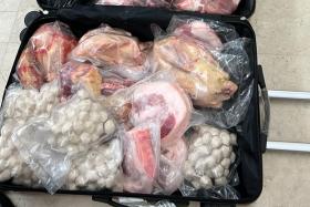 SFA officers were on June 8 alerted by ICA to luggage that was found to contain assorted meat products at Changi Airport.