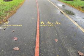 NParks said that the new symbols are a part of a pilot programme for paths that are wide enough.