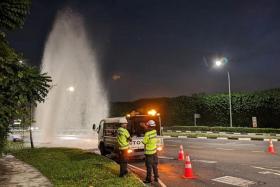 A burst pipe along Upper Thomson Road sent a huge fountain of water into the air on March 12.