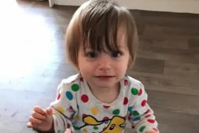 A neighbour described two-year-old Bronson Battersby as a  “gorgeous, happy little boy” who loved watching cartoons on YouTube.