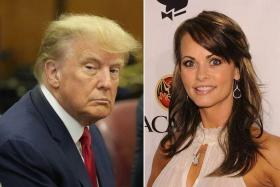 Ms Karen McDougal has said that she had an affair with Donald Trump in 2006 and 2007.