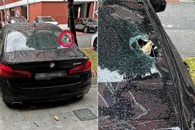 The incident left a gaping hole in the rear windscreen of a BMW sedan on Sunday.