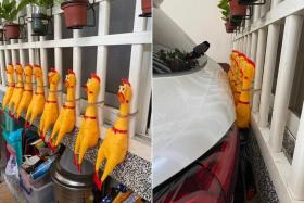 The plastic chickens on his window grill act as a warning device when he is backing into his very narrow garage.