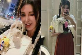 Actress Rain Lee went for a walk with her pet dog Creamy snuggled inside her Hermes Birkin Shadow Bag.