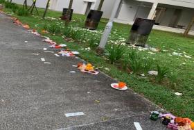 The Alliance for Action on Norms for Joss Paper Burning hopes to get people to be socially responsible when burning offerings.