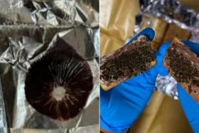 The bureau seized 223g of cannabis, 54g of heroin, 41g of ice or methamphetamine, 2g of psilocybin mushrooms with spores and 1g of ketamine.