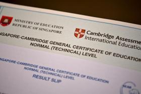Candidates with a Singpass account can access the Singapore Examinations and Assessment Board’s online results release system. 
