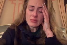 Saying she was "sorry" eight times in a 92-second message, Adele said the delays prevented her from perfecting the show to her standards and she promised to reschedule.