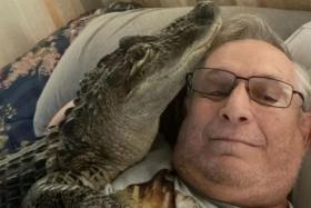 Mr Joie Henney's emotional support pet is an alligator named WallyGator.