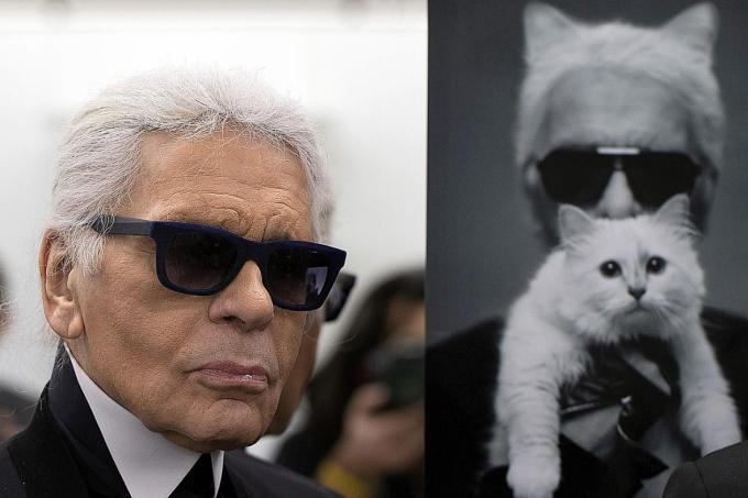 Could Karl Lagerfeld's famous cat Choupette inherit part of $270 ...